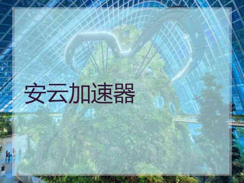 安云加速器