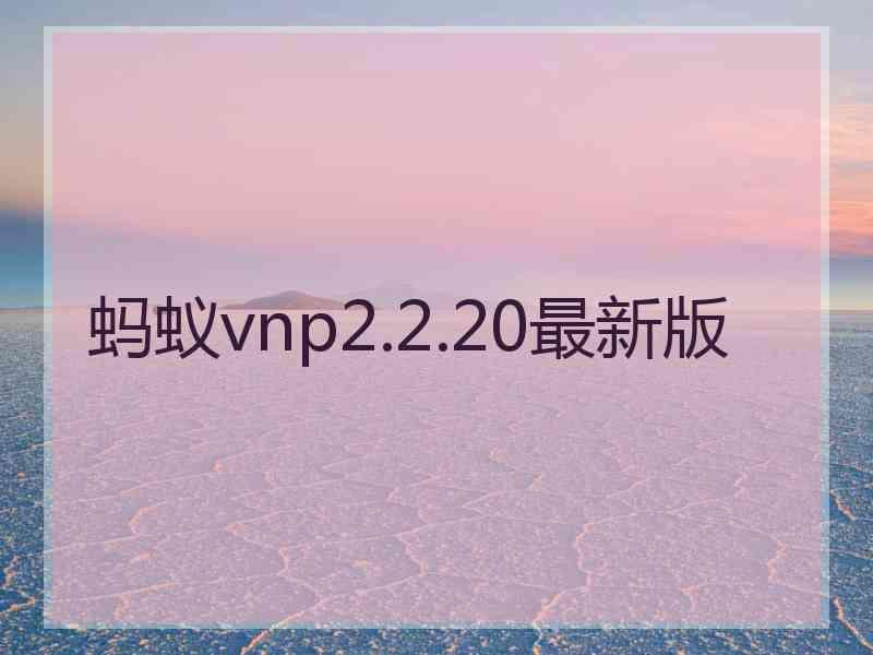 蚂蚁vnp2.2.20最新版