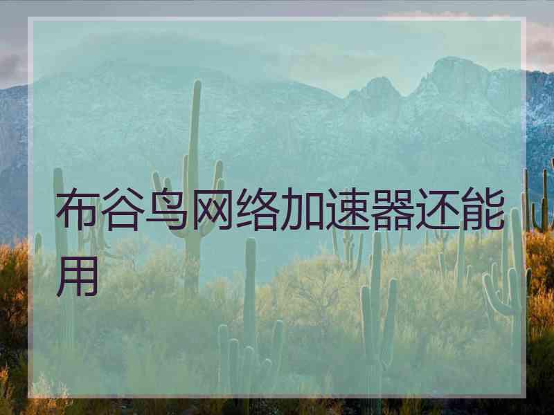 布谷鸟网络加速器还能用