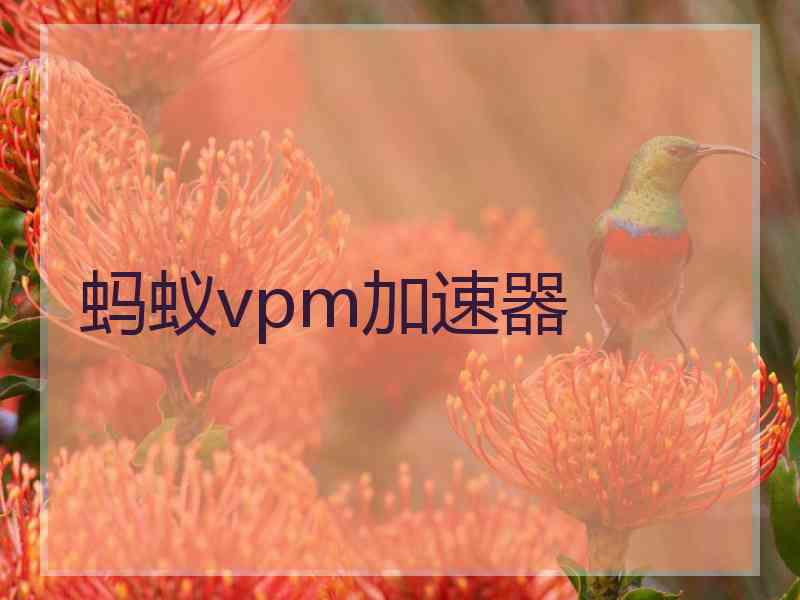 蚂蚁vpm加速器