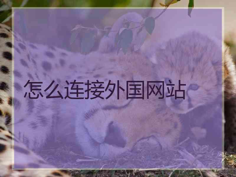 怎么连接外国网站