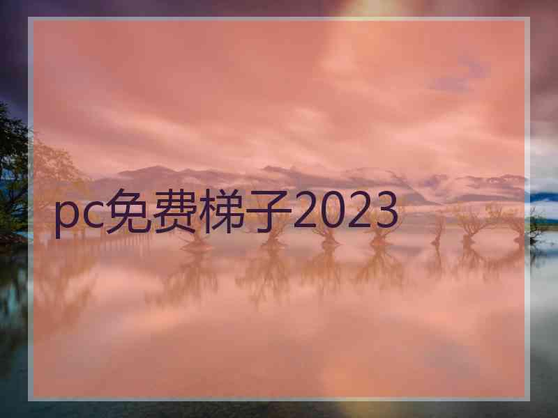 pc免费梯子2023