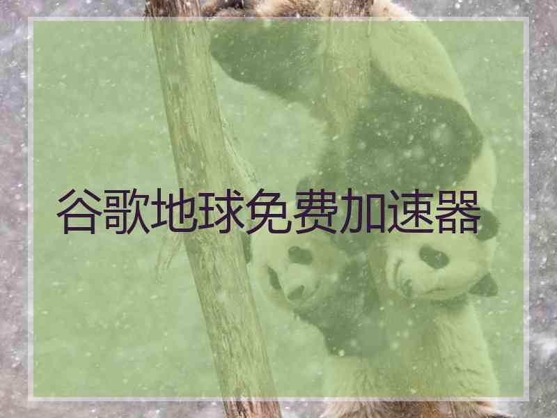 谷歌地球免费加速器