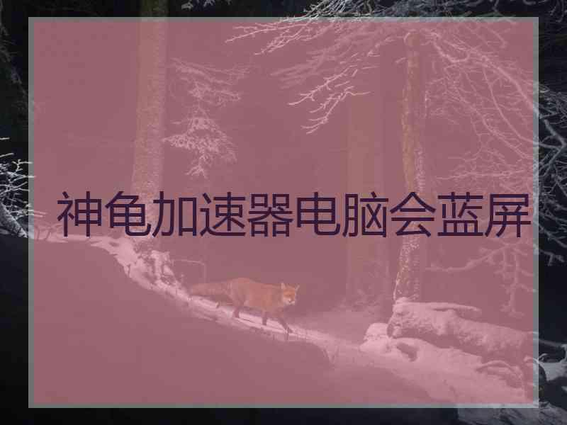 神龟加速器电脑会蓝屏