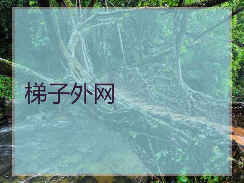梯子外网