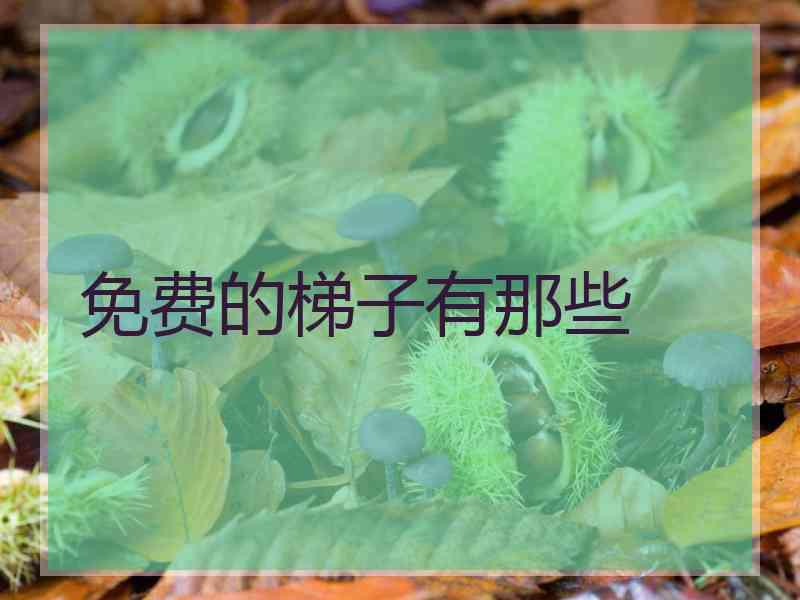免费的梯子有那些