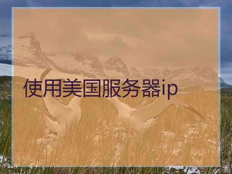 使用美国服务器ip