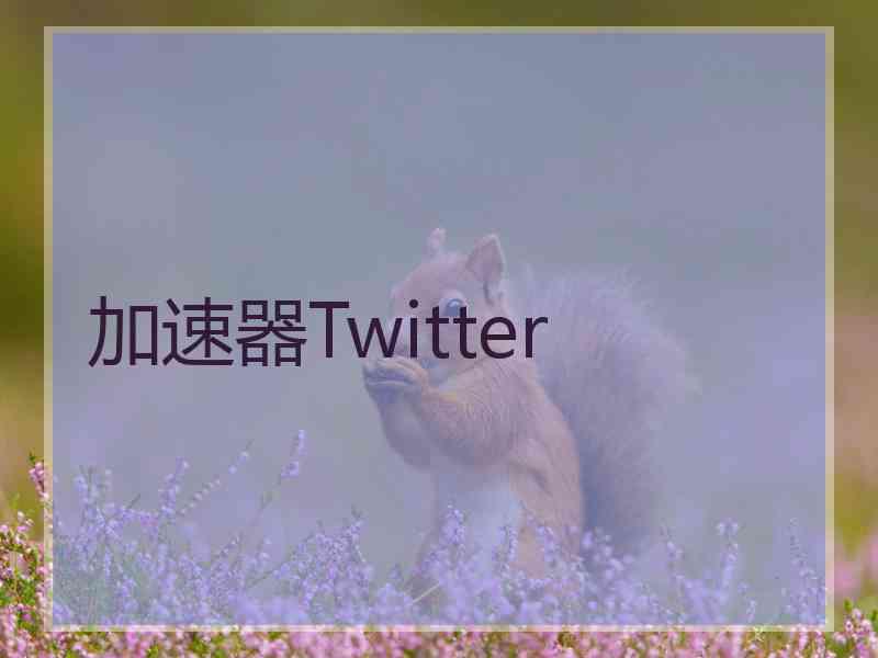 加速器Twitter