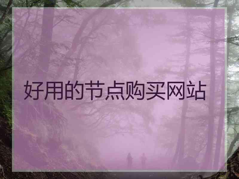 好用的节点购买网站