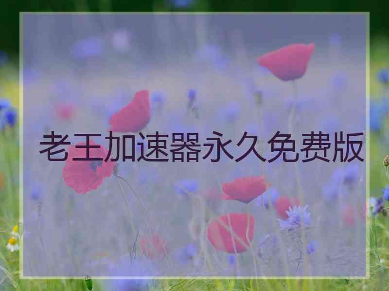 老王加速器永久免费版