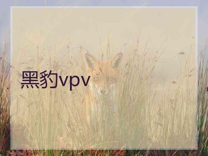 黑豹vpv