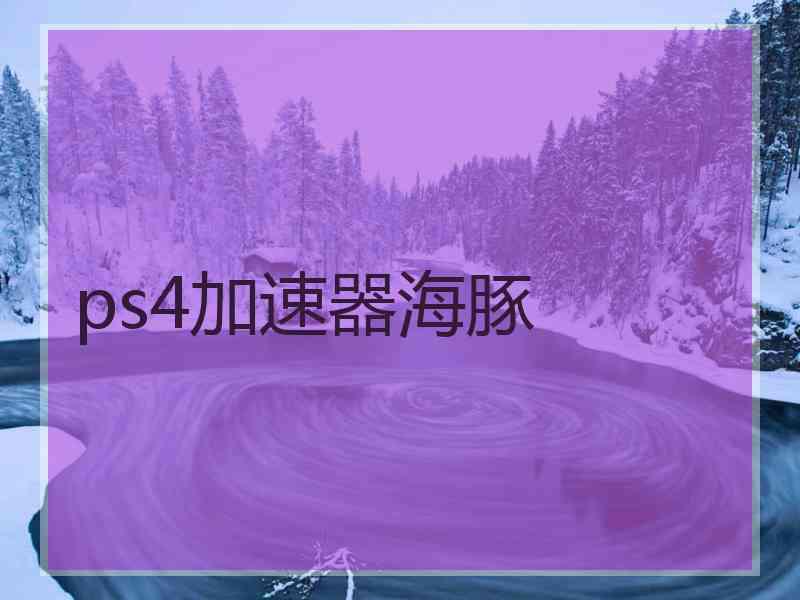 ps4加速器海豚