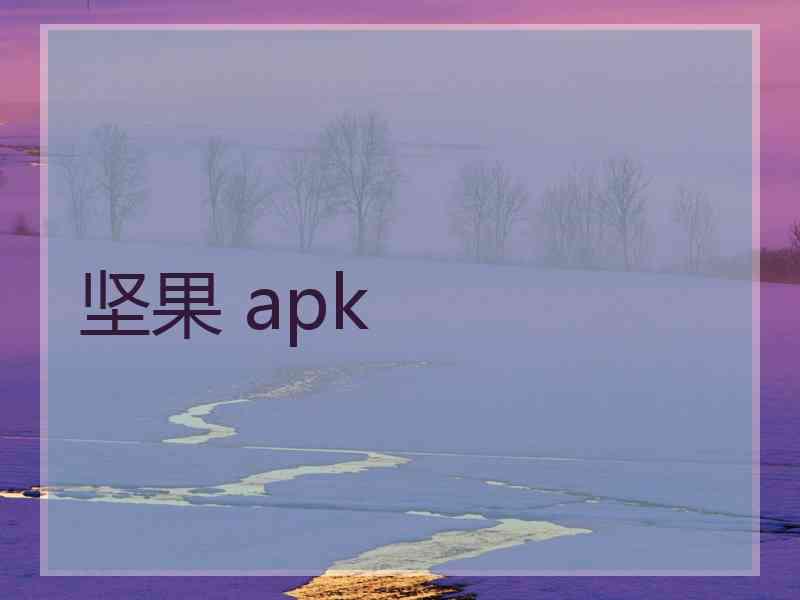 坚果 apk
