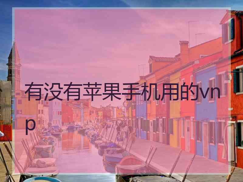 有没有苹果手机用的vnp