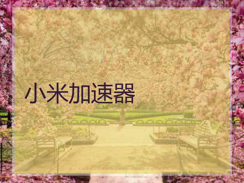 小米加速器