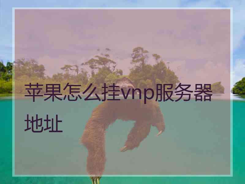 苹果怎么挂vnp服务器地址