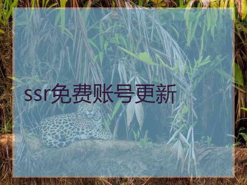 ssr免费账号更新