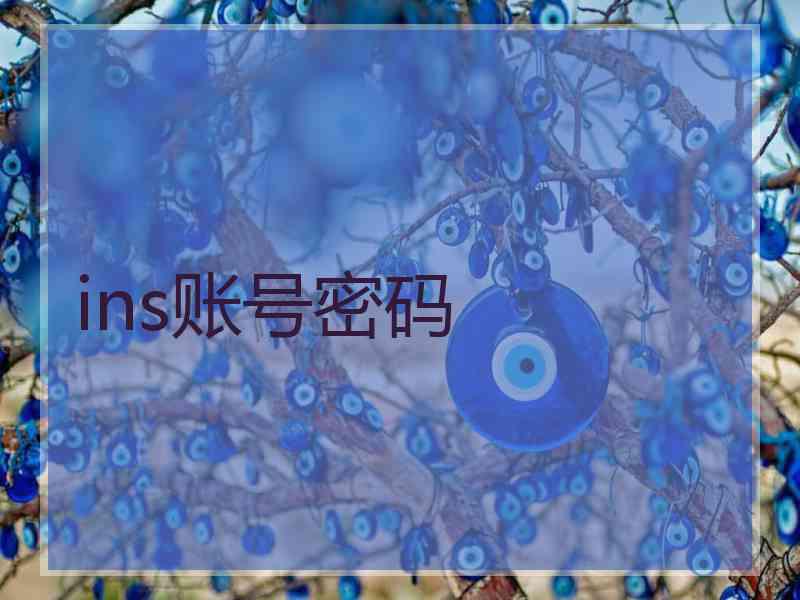 ins账号密码