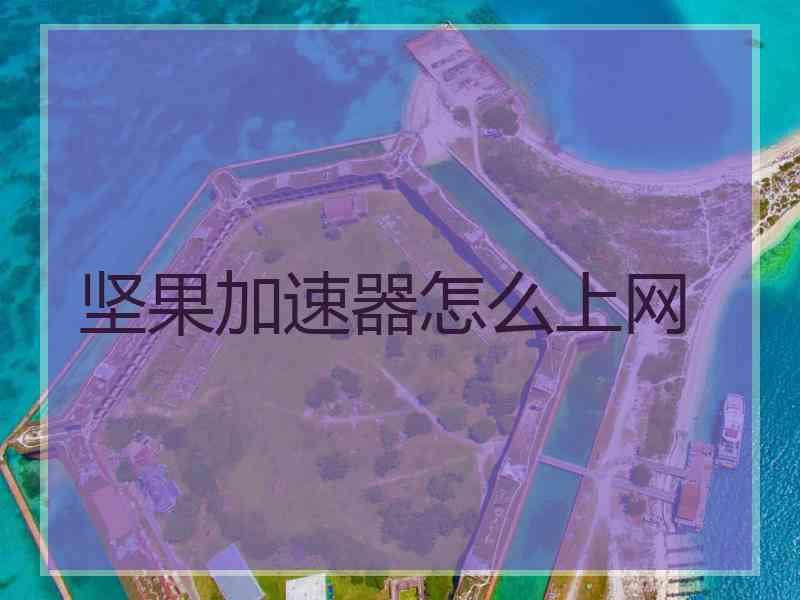 坚果加速器怎么上网