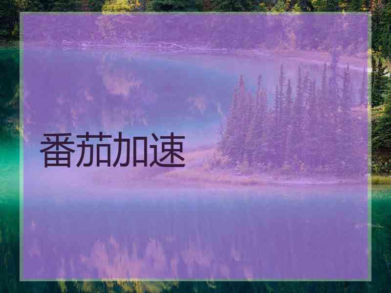 番茄加速