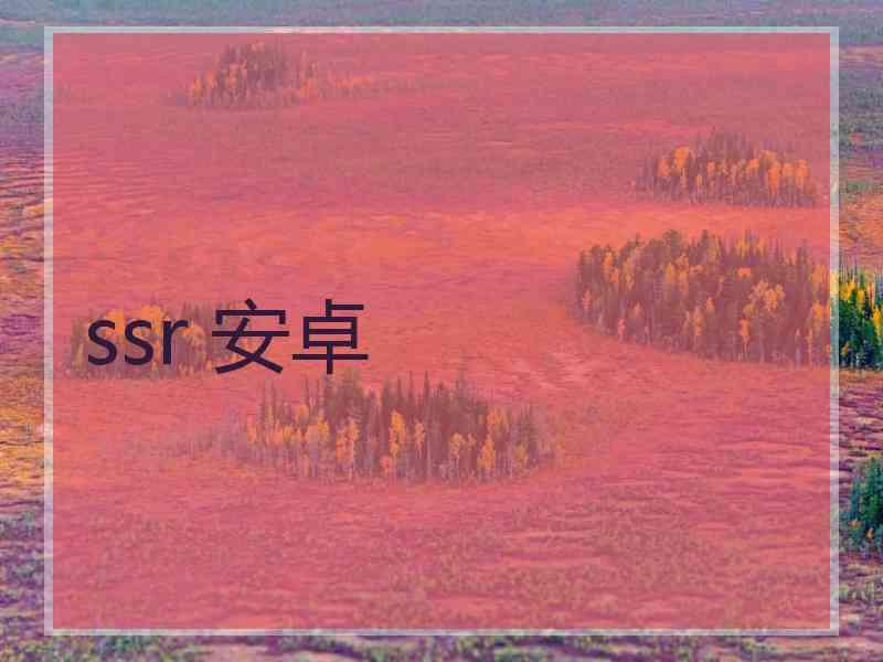 ssr 安卓