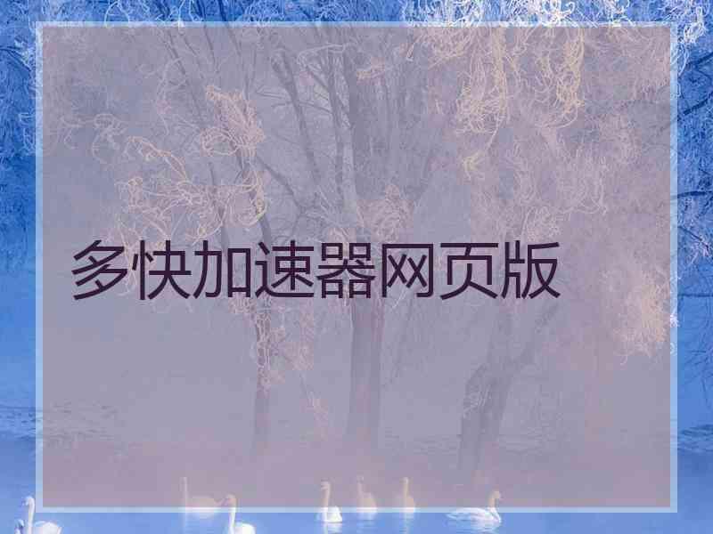 多快加速器网页版