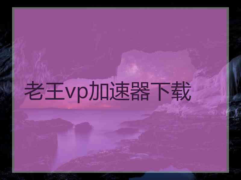 老王vp加速器下载