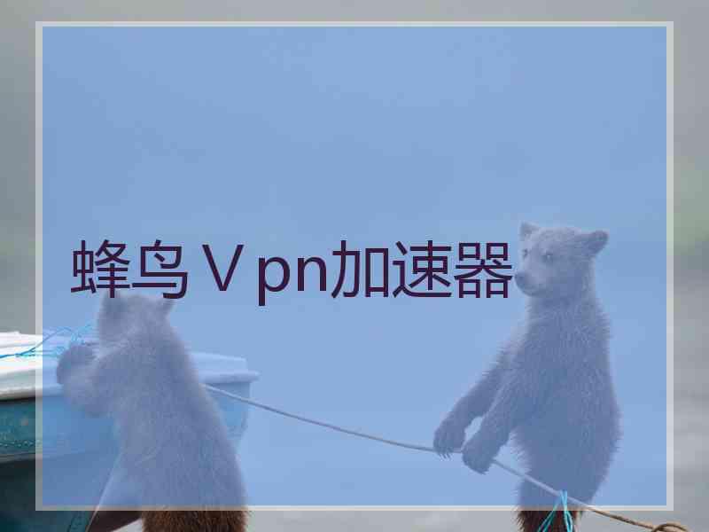 蜂鸟Ⅴpn加速器