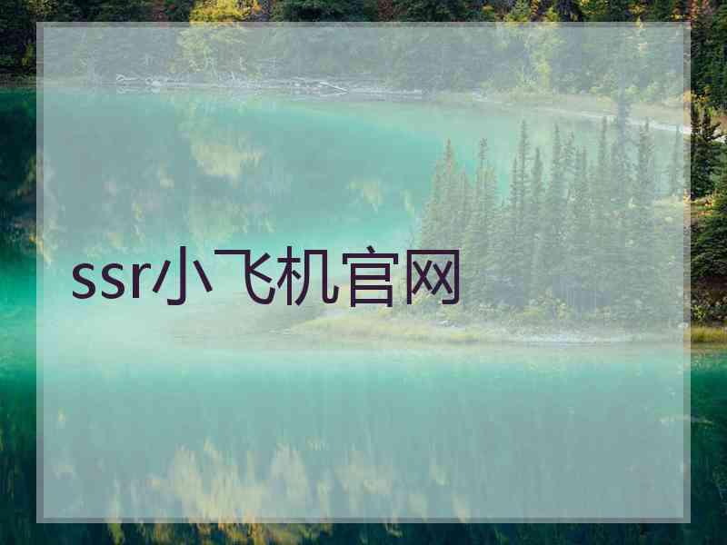 ssr小飞机官网