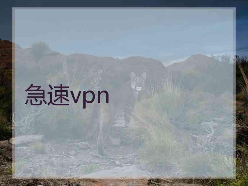 急速vpn