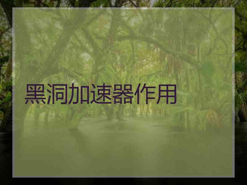 黑洞加速器作用