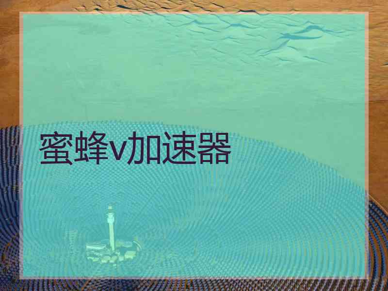 蜜蜂v加速器
