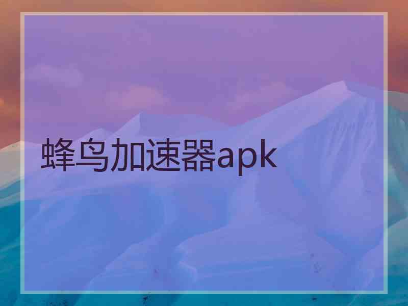 蜂鸟加速器apk