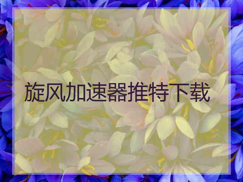 旋风加速器推特下载