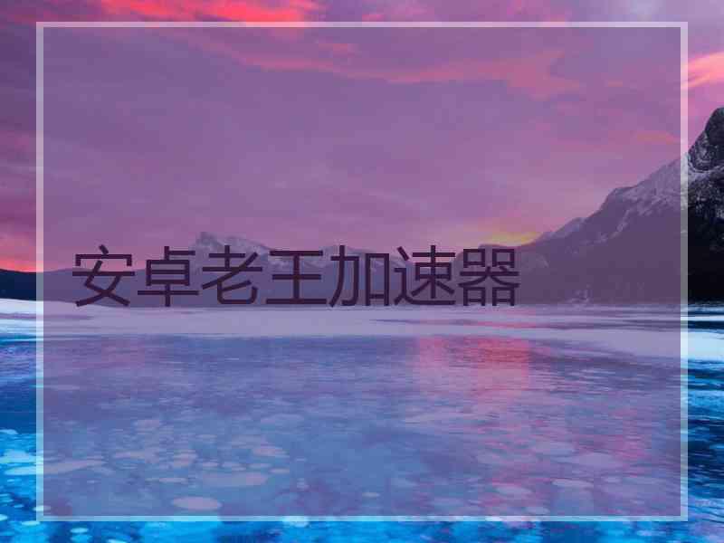 安卓老王加速器