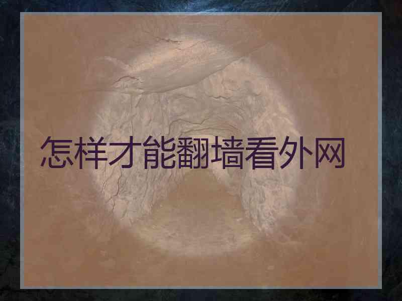 怎样才能翻墙看外网