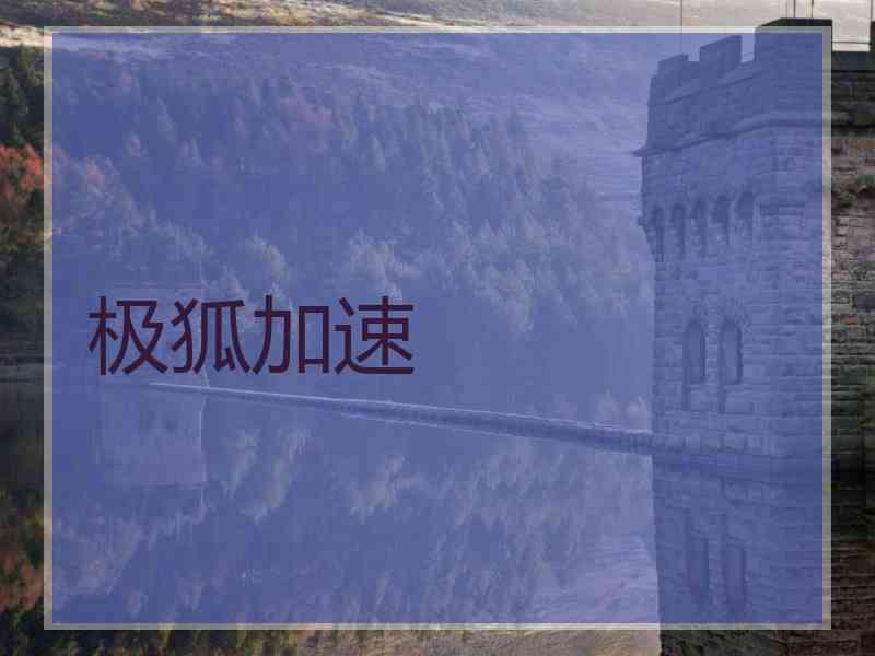 极狐加速