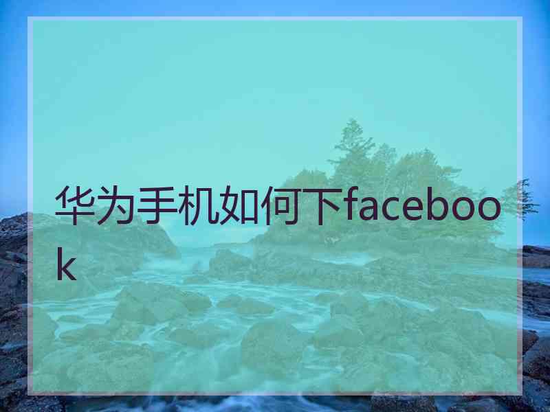 华为手机如何下facebook
