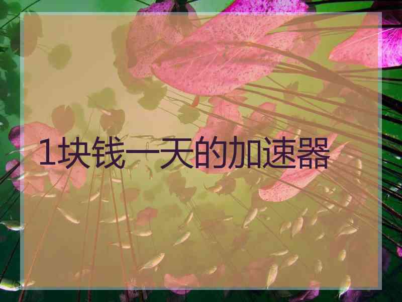 1块钱一天的加速器