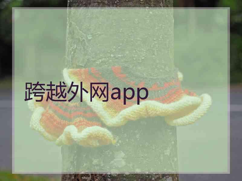 跨越外网app