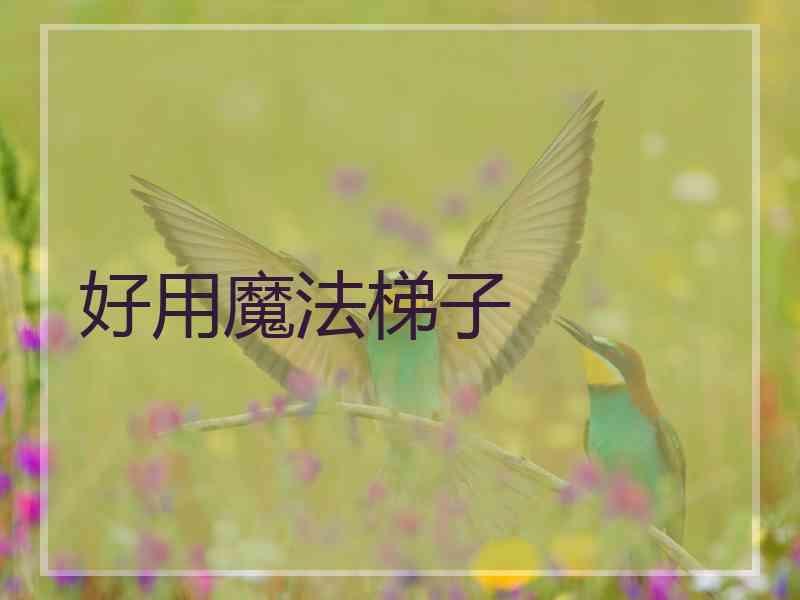 好用魔法梯子