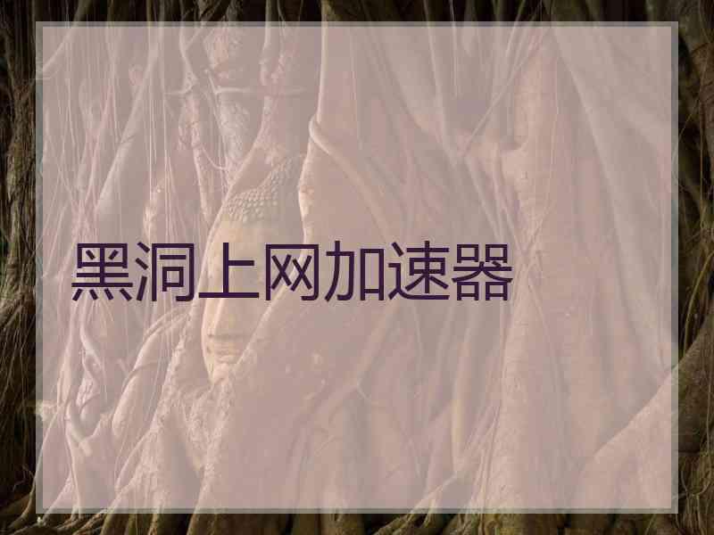 黑洞上网加速器