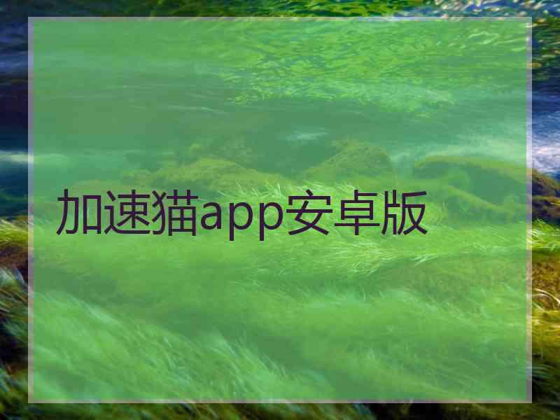 加速猫app安卓版