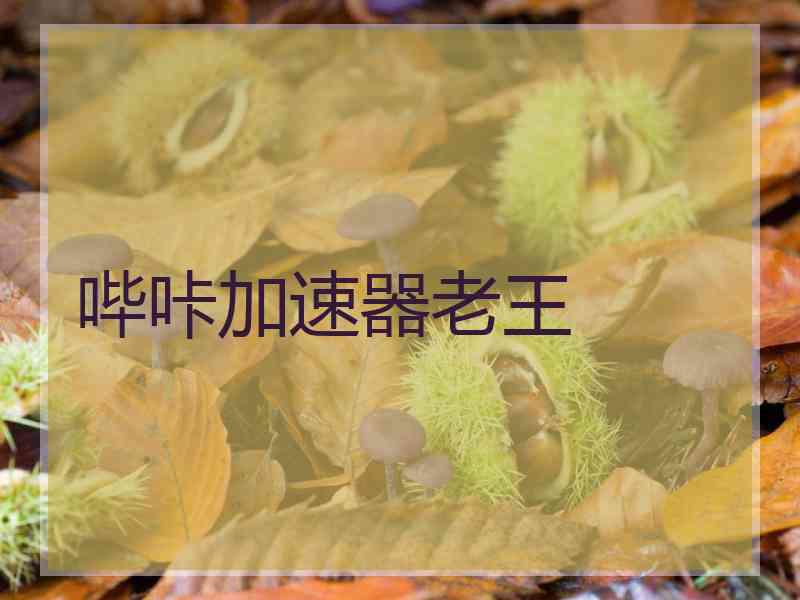 哔咔加速器老王