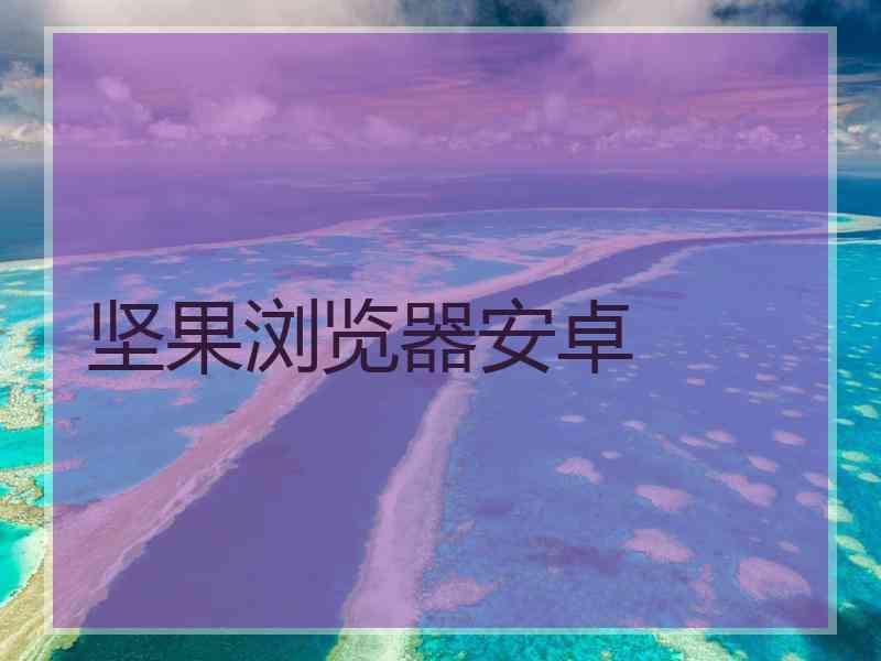 坚果浏览器安卓