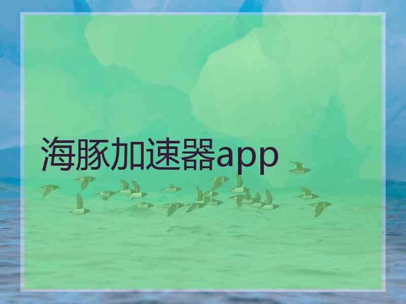 海豚加速器app