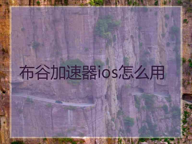 布谷加速器ios怎么用