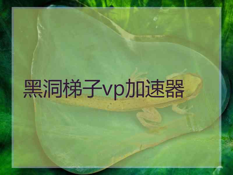 黑洞梯子vp加速器