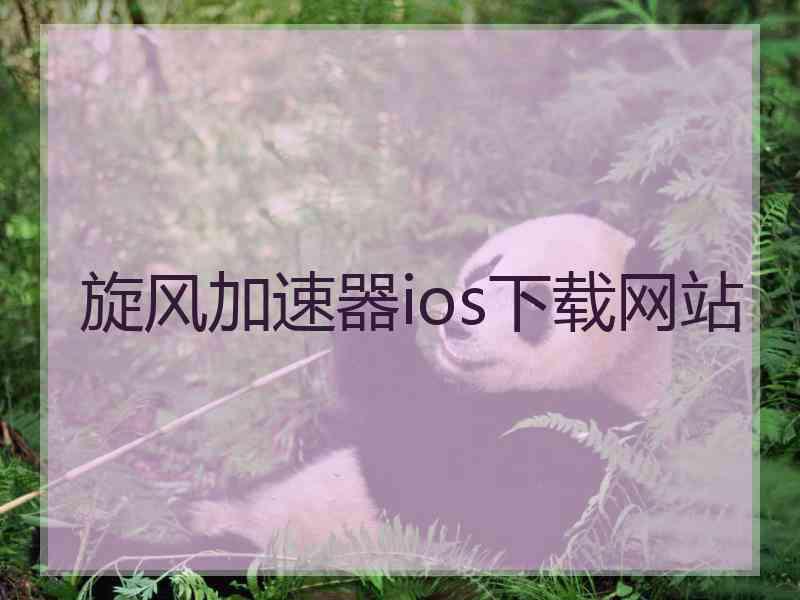 旋风加速器ios下载网站