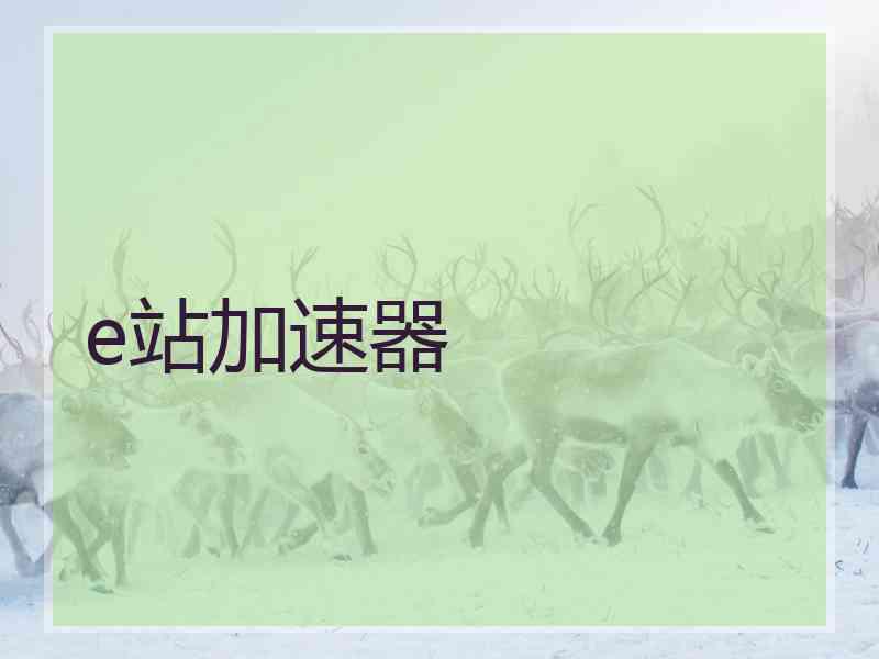e站加速器